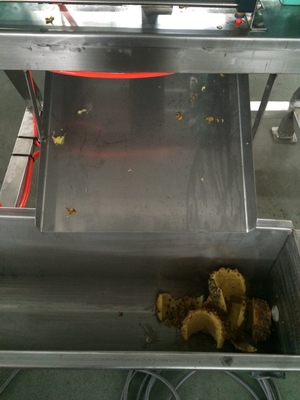 Customized SUS304 Automatic  Beverage Water Mango Pineapple Juice Filling Machine 220V/380V/110V Liquid Processing Line