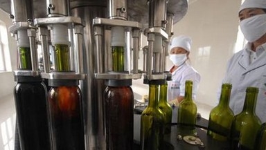 Kundengebundene Wein-Füllmaschine/Weinflaschenfüllen-Ausrüstung/Wein-Abfüller
